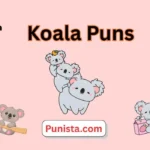 Koala Puns