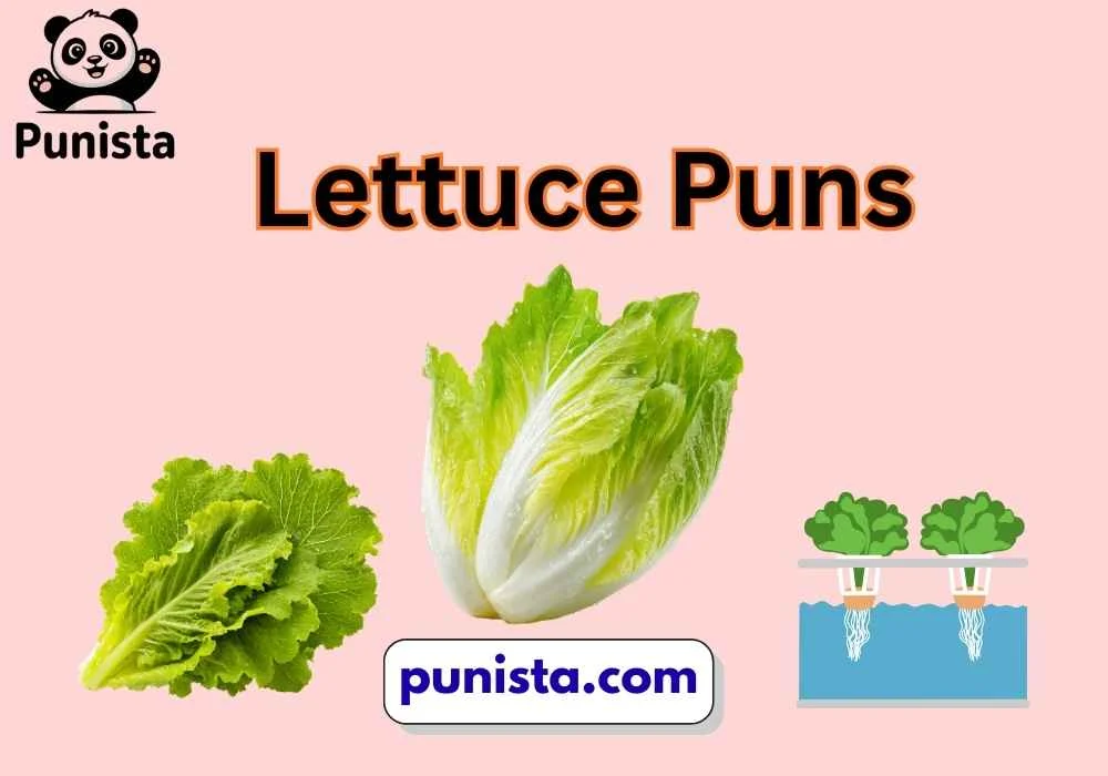 Lettuce Puns