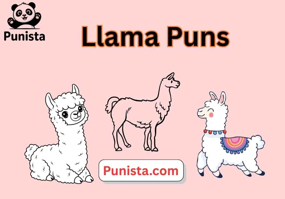 Llama Puns