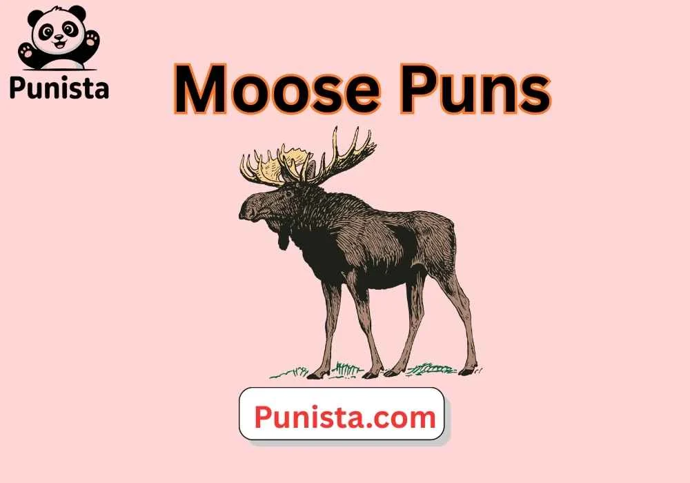 Moose Puns
