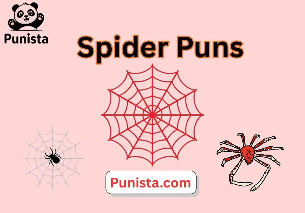 Spider Puns