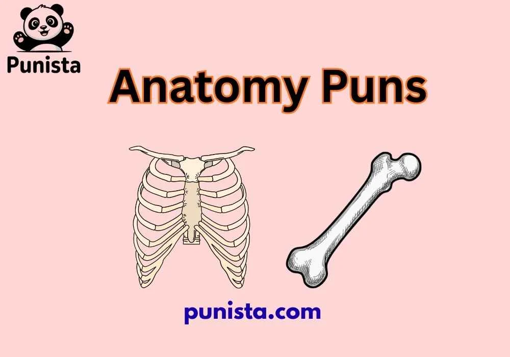 Anatomy Puns